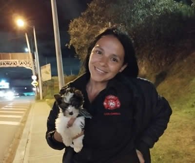 Entrega Shih Tzu Teacup